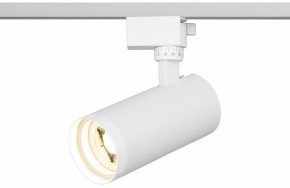 Светильник на штанге Эра  TR59 - 2040 WH в Губкинском - gubkinskiy.ok-mebel.com | фото 5