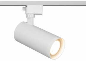 Светильник на штанге Эра  TR59 - 3030 WH в Губкинском - gubkinskiy.ok-mebel.com | фото