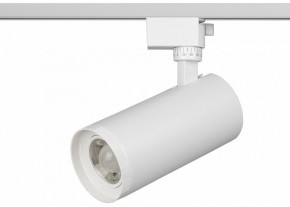 Светильник на штанге Эра  TR59 - 3030 WH в Губкинском - gubkinskiy.ok-mebel.com | фото 2