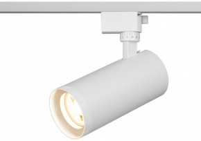Светильник на штанге Эра  TR59 - 3030 WH в Губкинском - gubkinskiy.ok-mebel.com | фото 5