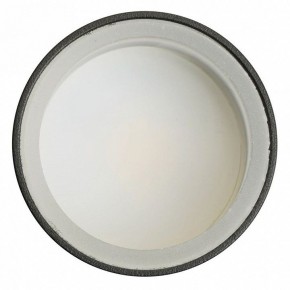 Светильник на штанге Feron ML1001 51371 в Губкинском - gubkinskiy.ok-mebel.com | фото 4