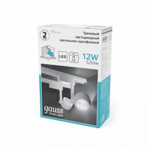 Светильник на штанге Gauss Track Light TR054 в Губкинском - gubkinskiy.ok-mebel.com | фото 5