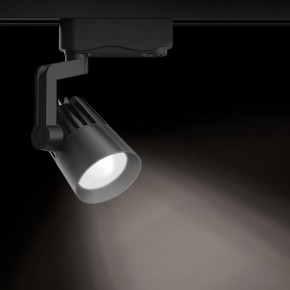 Светильник на штанге Gauss Track Light TR061 в Губкинском - gubkinskiy.ok-mebel.com | фото 2