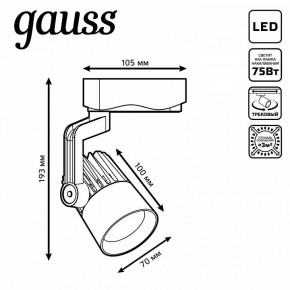 Светильник на штанге Gauss Track Light TR061 в Губкинском - gubkinskiy.ok-mebel.com | фото 6