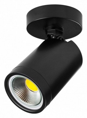 Светильник на штанге Lightstar Rullo 213407 в Губкинском - gubkinskiy.ok-mebel.com | фото