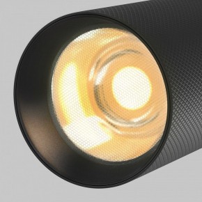 Светильник на штанге Maytoni Artisan TR097-2-12W2.7K-M-BB в Губкинском - gubkinskiy.ok-mebel.com | фото 9