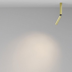 Светильник на штанге Maytoni Focus T C142CL-6W3K-BS в Губкинском - gubkinskiy.ok-mebel.com | фото 4