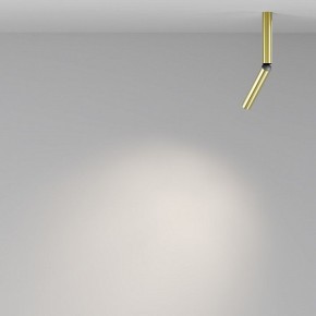 Светильник на штанге Maytoni Focus T C142CL-6W4K-BS в Губкинском - gubkinskiy.ok-mebel.com | фото 4