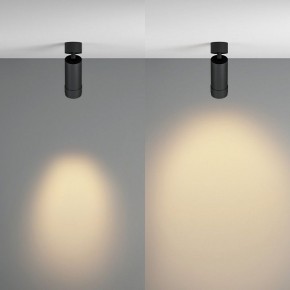 Светильник на штанге Maytoni Focus Zoom C055CL-L12W2.7K-Z-B в Губкинском - gubkinskiy.ok-mebel.com | фото 3
