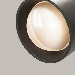 Светильник на штанге Maytoni Lens TR217-2-15W3K-B в Губкинском - gubkinskiy.ok-mebel.com | фото 12