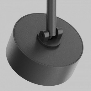 Светильник на штанге Maytoni Lens TR217-2-15W4K-B в Губкинском - gubkinskiy.ok-mebel.com | фото 9