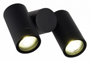 Светильник на штанге ST-Luce Ecollo SL9011.402.02 в Губкинском - gubkinskiy.ok-mebel.com | фото 3