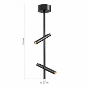 Светильник на штанге ST-Luce LILT SL6210.403.02 в Губкинском - gubkinskiy.ok-mebel.com | фото 3