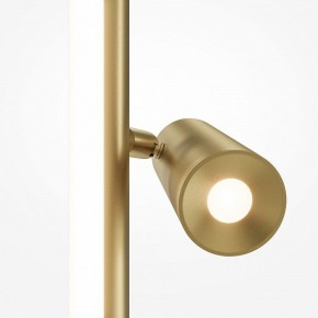Торшер Maytoni Thin MOD395FL-L28BS3K в Губкинском - gubkinskiy.ok-mebel.com | фото 5