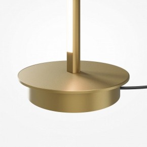 Торшер Maytoni Thin MOD395FL-L28BS3K в Губкинском - gubkinskiy.ok-mebel.com | фото 7