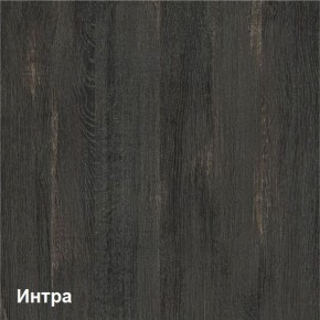 Трувор Шкаф-стеллаж 13.206 в Губкинском - gubkinskiy.ok-mebel.com | фото 4