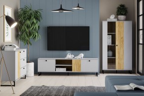 Тумба ТВА НМ 014.46 "Бруно" в Губкинском - gubkinskiy.ok-mebel.com | фото 3