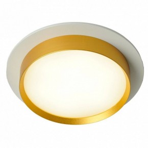 Встраиваемый светильник Feron DL507 51354 в Губкинском - gubkinskiy.ok-mebel.com | фото 3