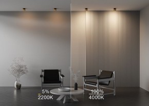 Встраиваемый светильник Maytoni Onda DL024-12W-DTW-BMG в Губкинском - gubkinskiy.ok-mebel.com | фото 9