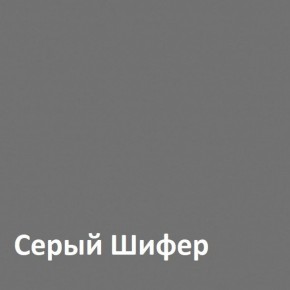 Юнона Шкаф торцевой 13.221 в Губкинском - gubkinskiy.ok-mebel.com | фото 2